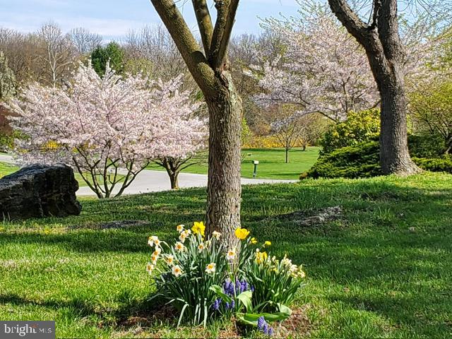 SHEPHERD WEST - Residential