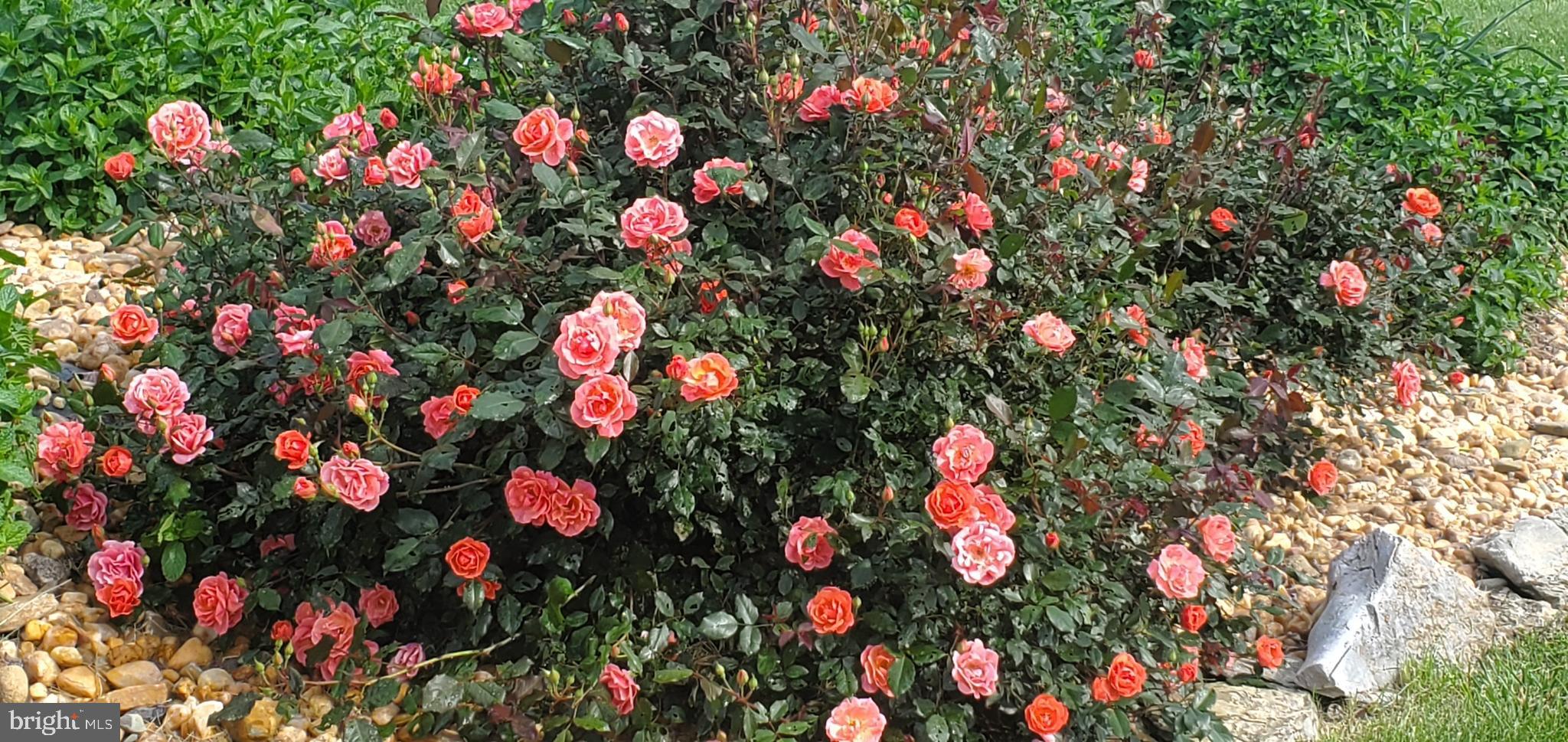 SHEPHERD WEST - Residential