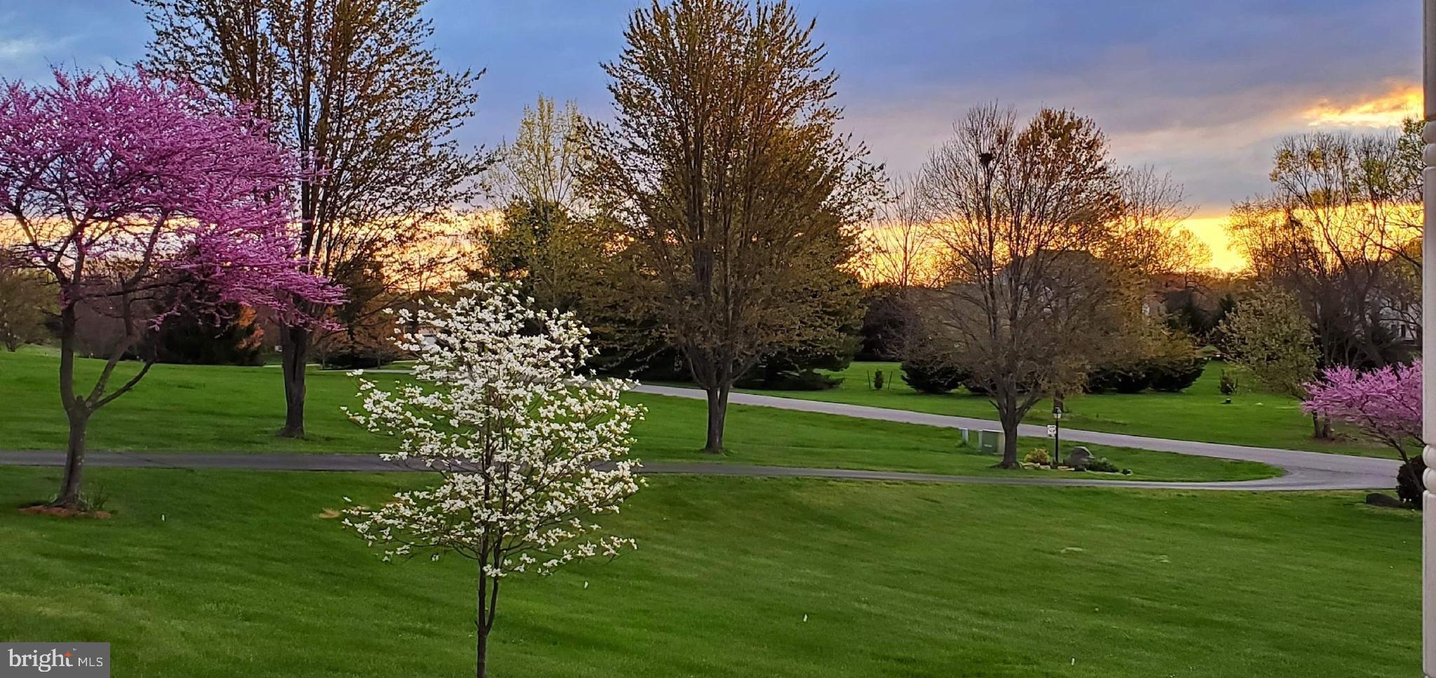 SHEPHERD WEST - Residential