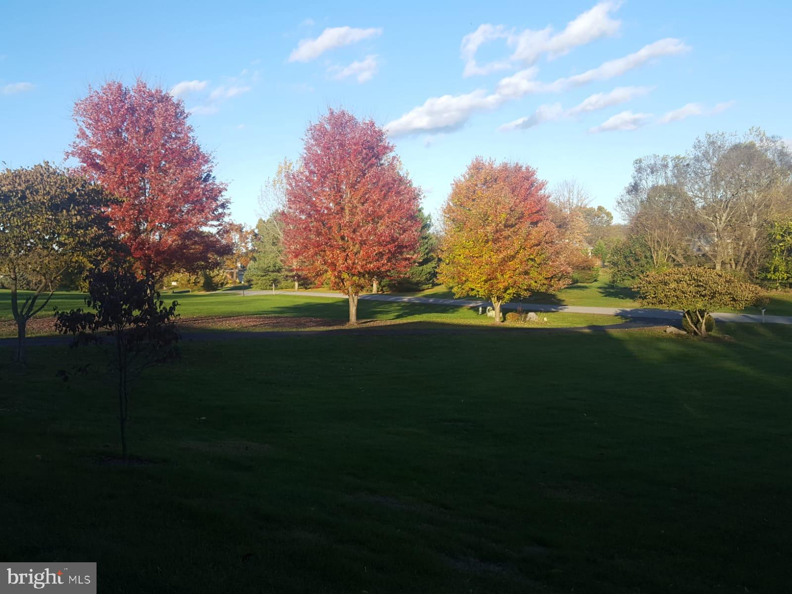 SHEPHERD WEST - Residential