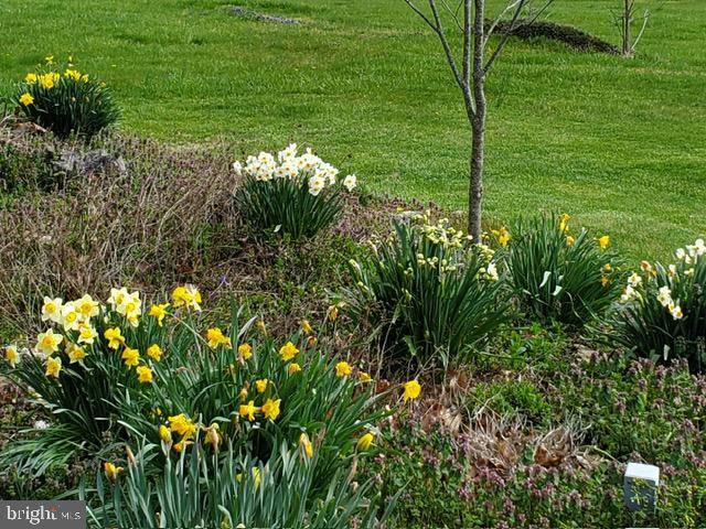 SHEPHERD WEST - Residential