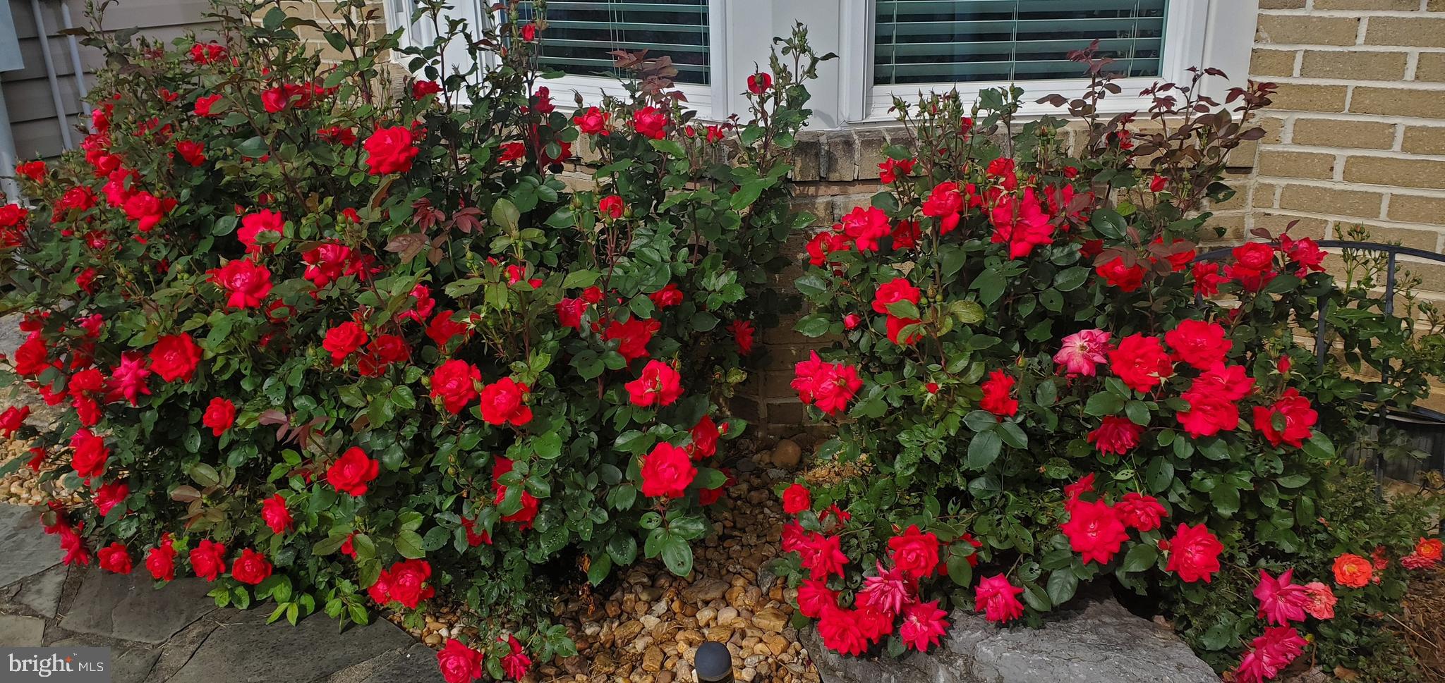 SHEPHERD WEST - Residential