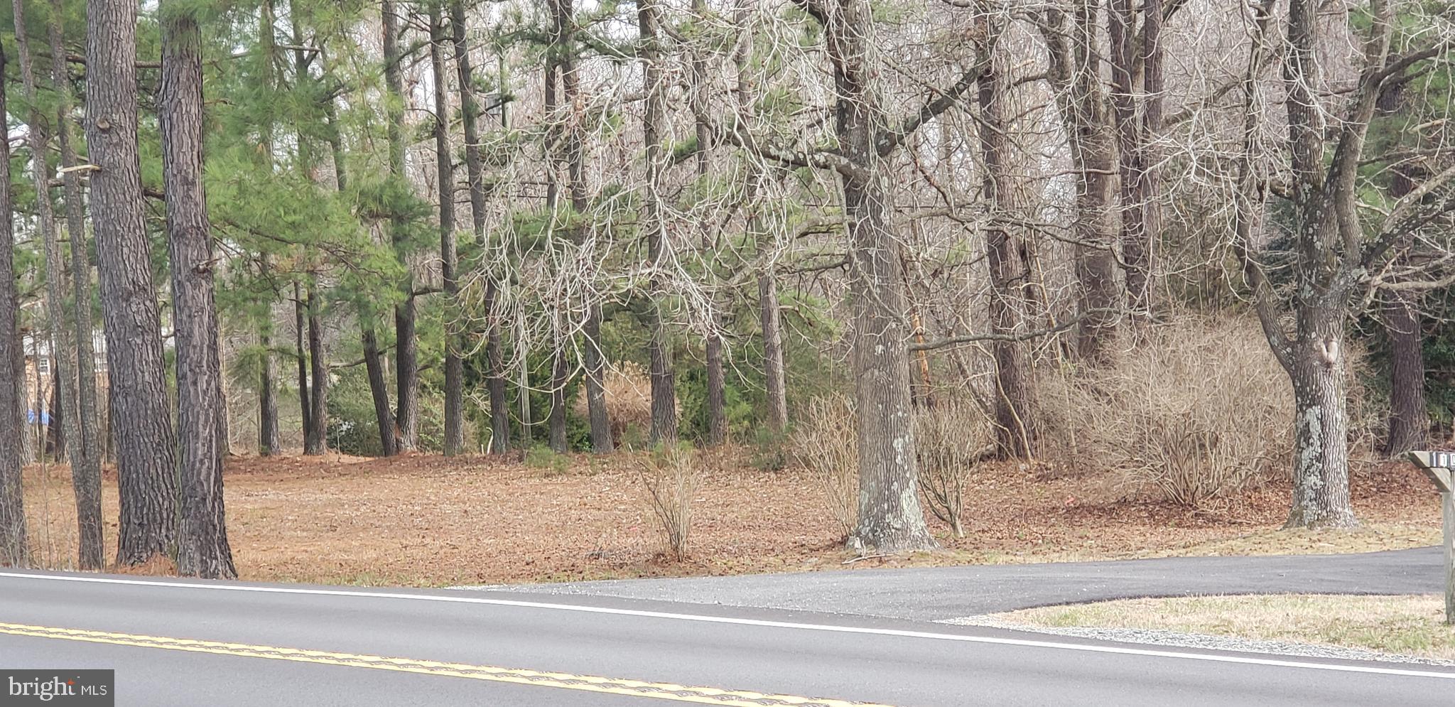 WEEDON ESTATES - Residential