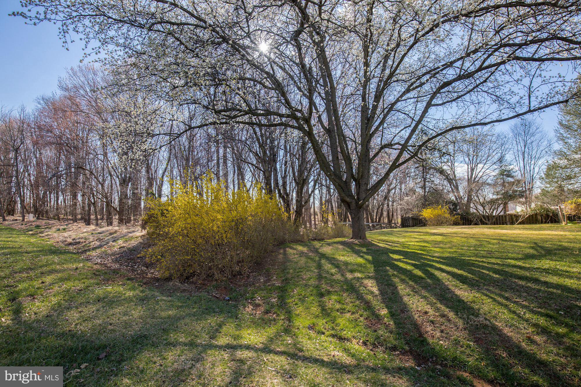 NORBECK ESTATES - Residential