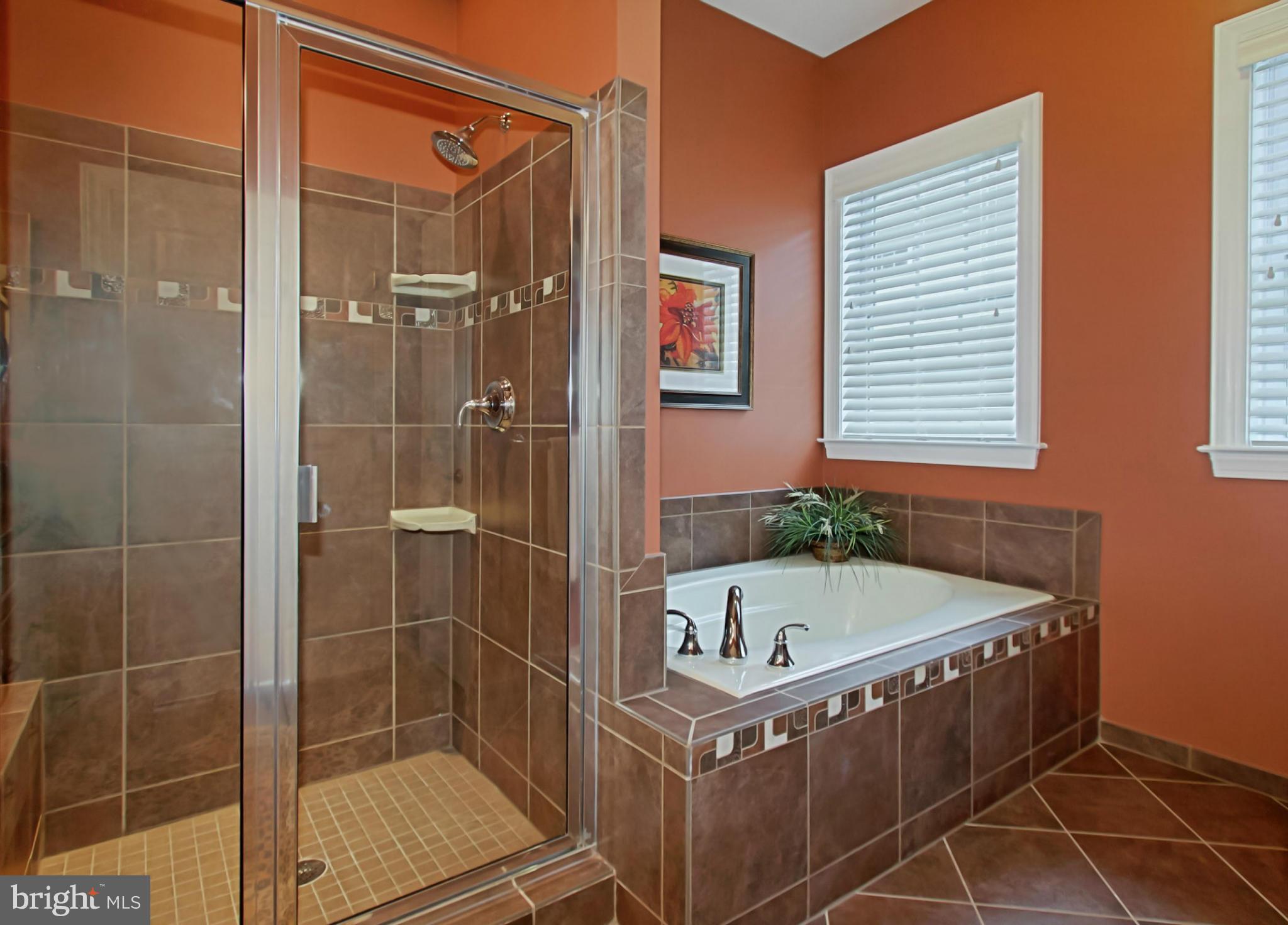 REGENCY AT DOMINION VALLEY - Residential