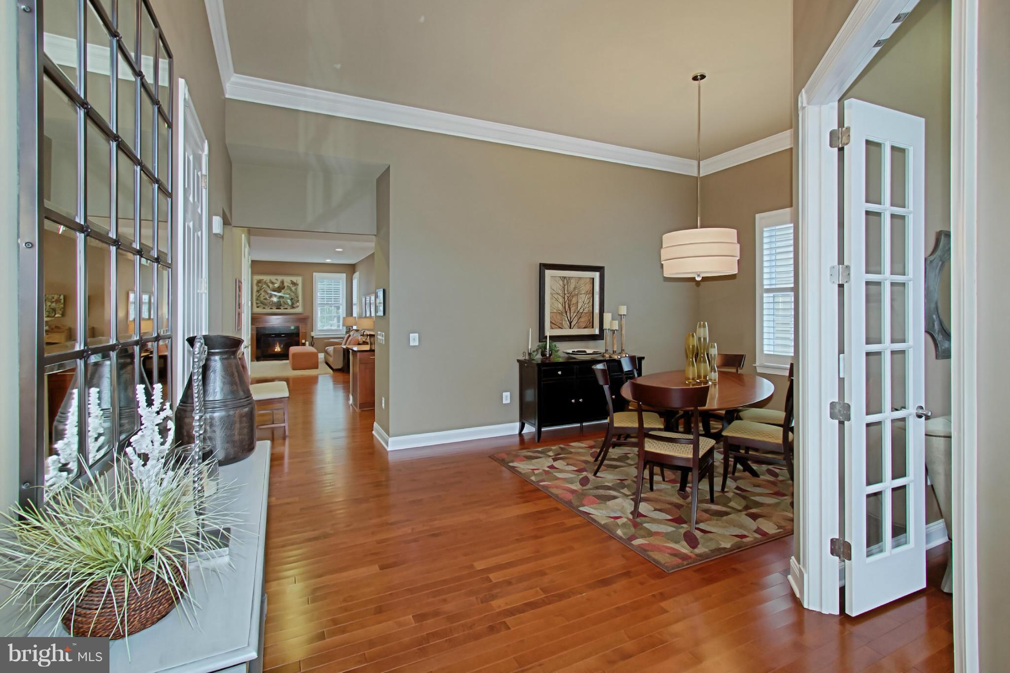 REGENCY AT DOMINION VALLEY - Residential