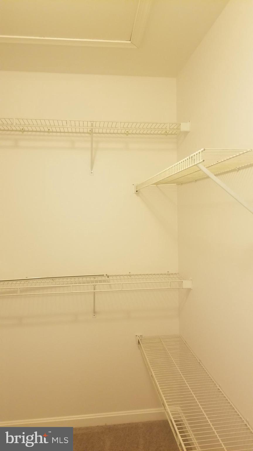 KING COUNCIL - Residential Lease