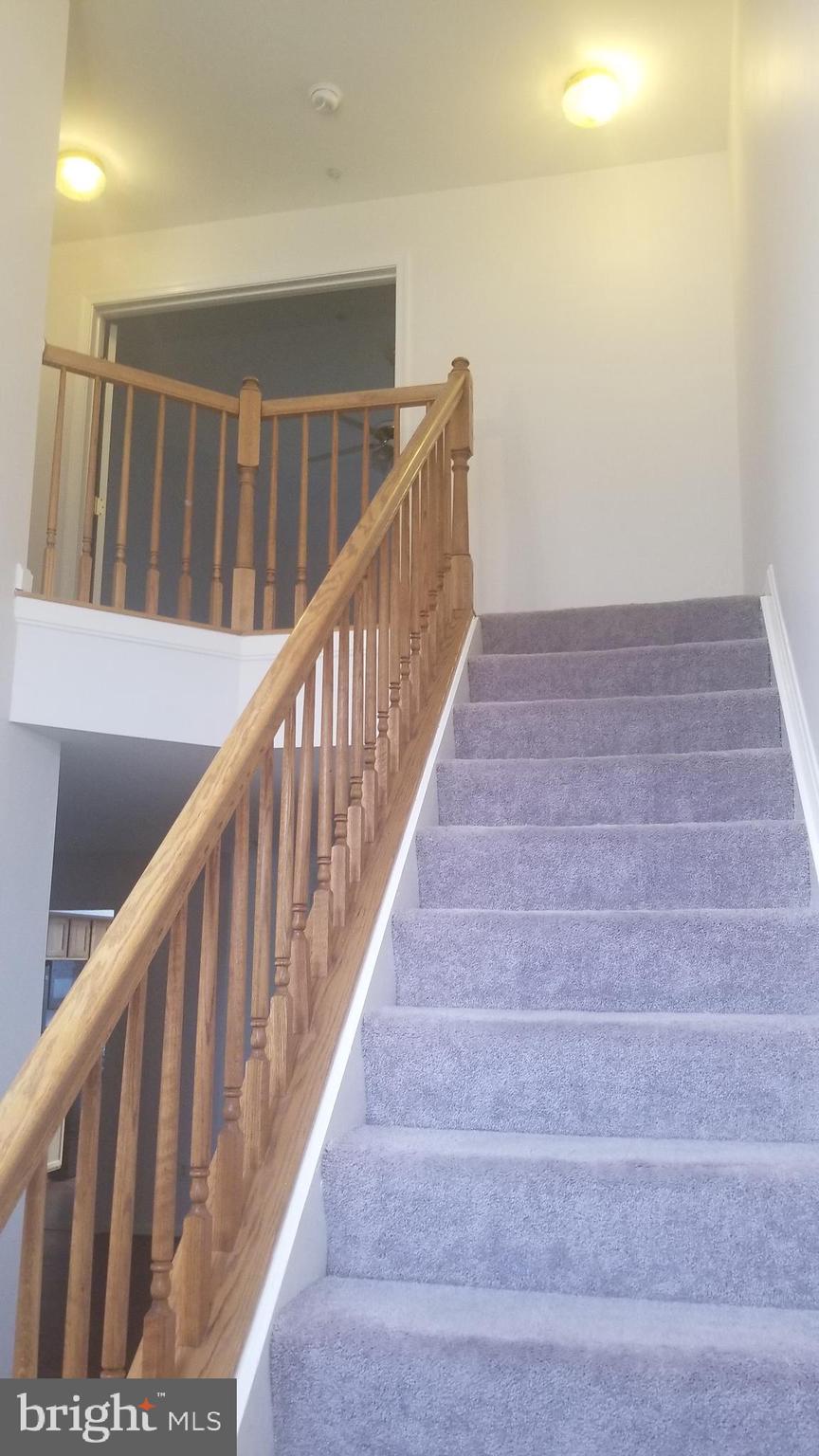 KING COUNCIL - Residential Lease