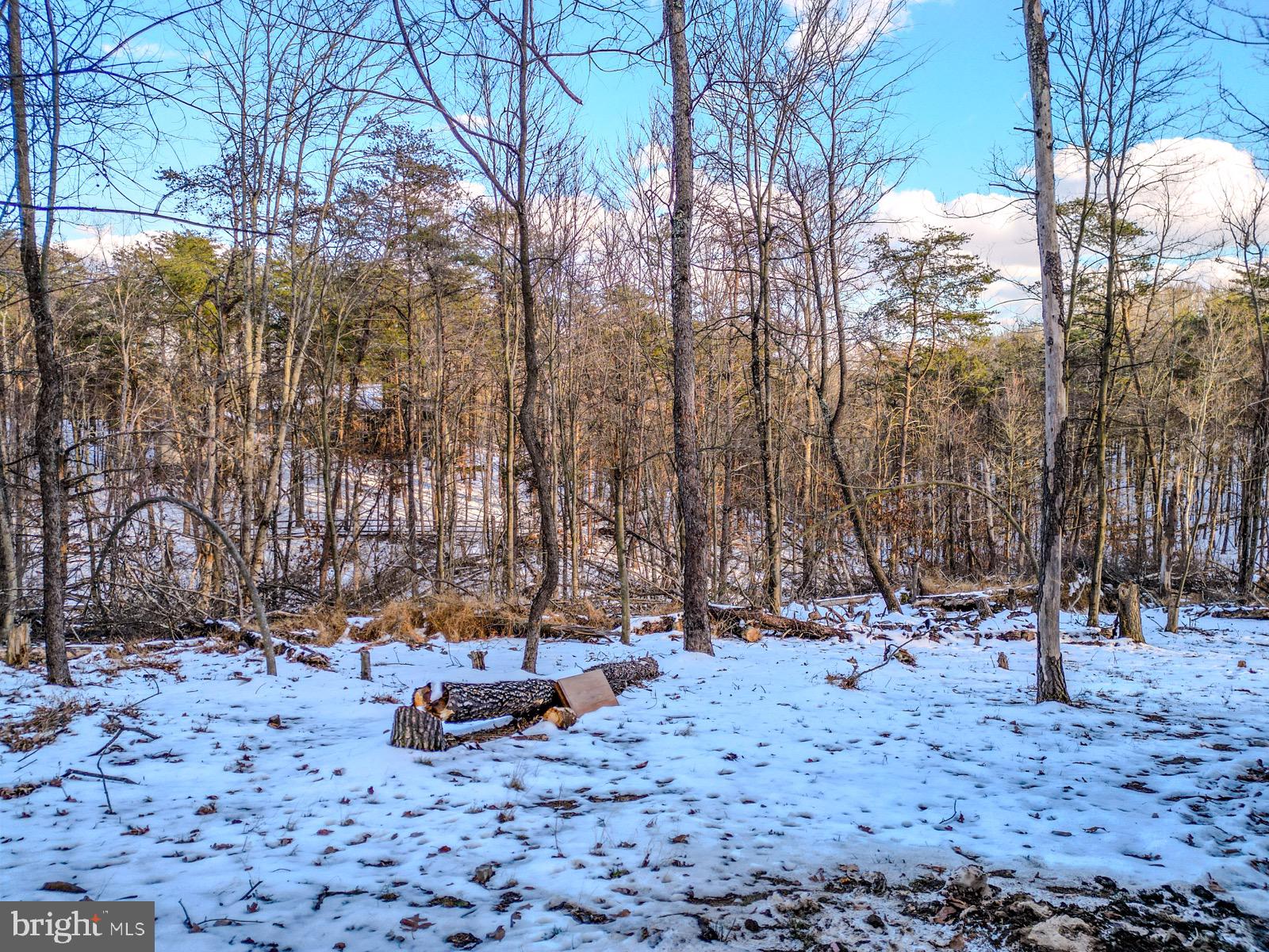 THE WOODS - Residential