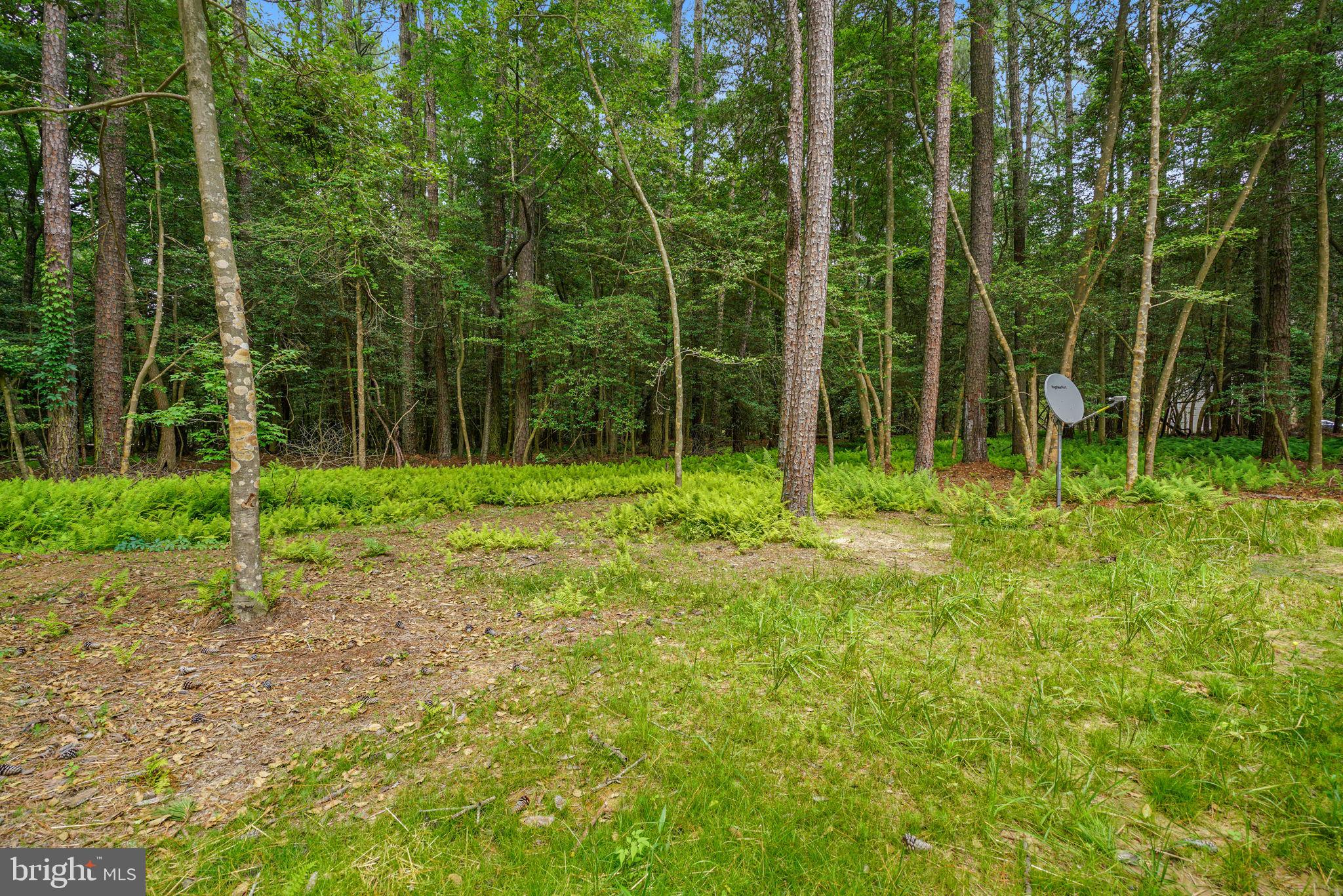 CAPTAIN'S COVE - Residential