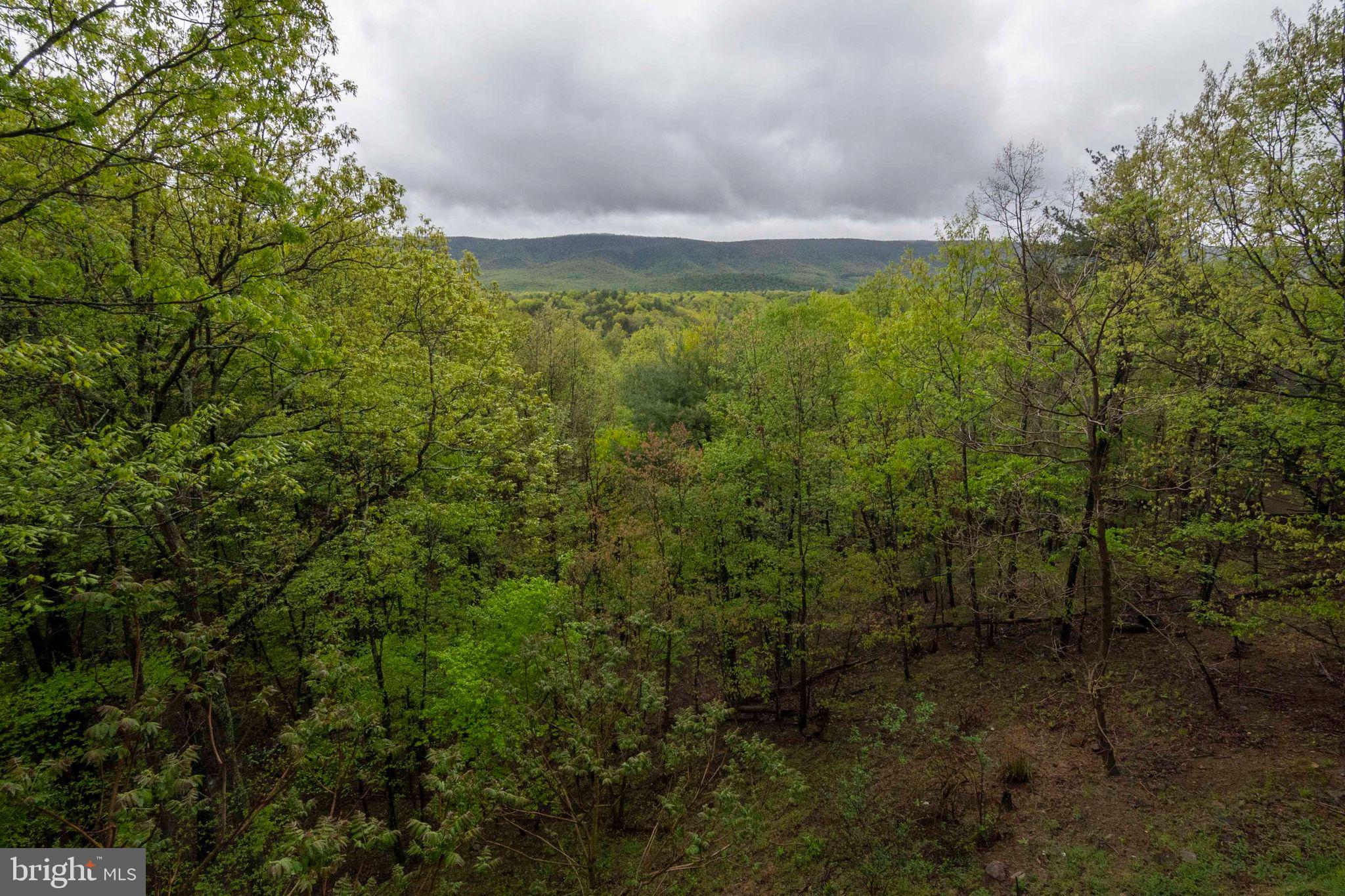 BRYCE RESORT - Residential