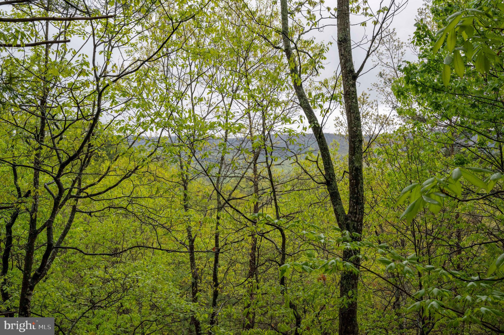 BRYCE RESORT - Residential