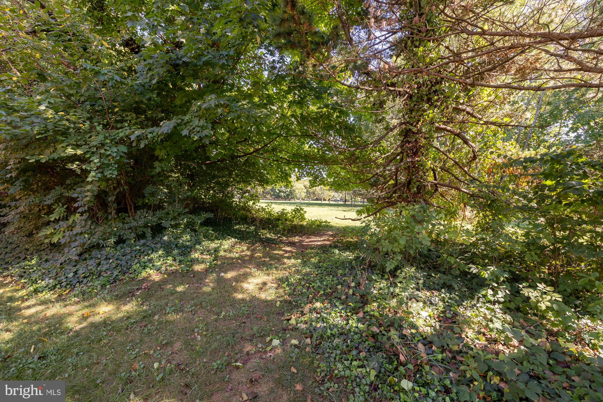 KENWOOD FOREST - Residential