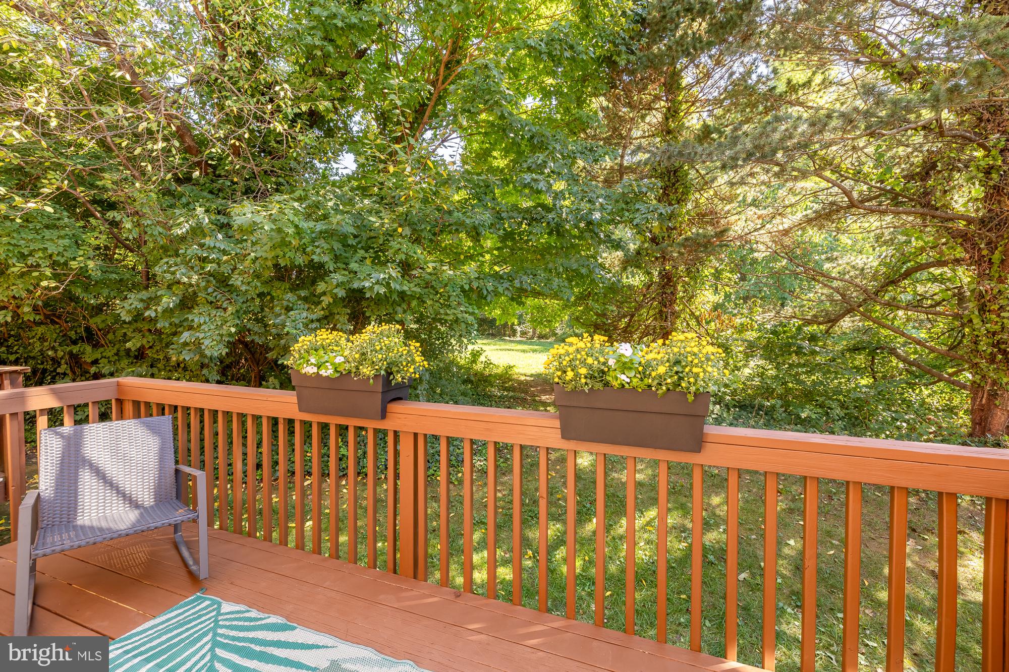 KENWOOD FOREST - Residential