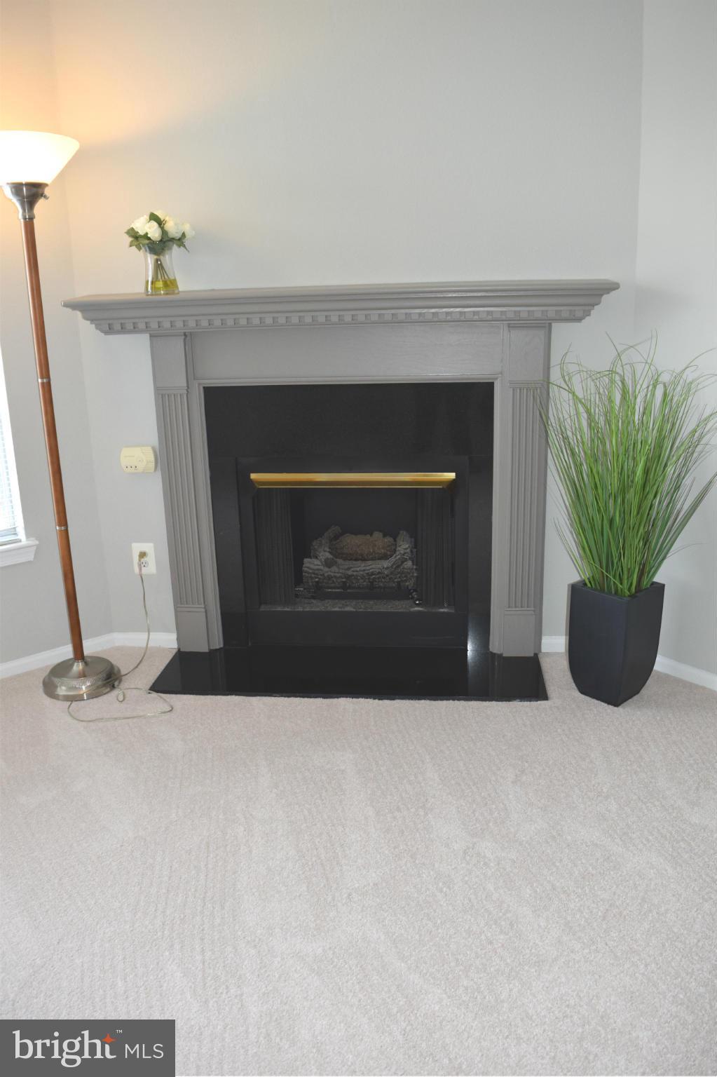 GATES OF MCLEAN - Residential