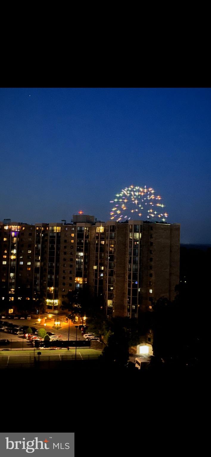 5902 MOUNT EAGLE DRIVE 1002