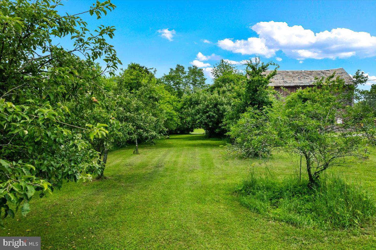 NOT IN A DEVELOPMENT - Residential