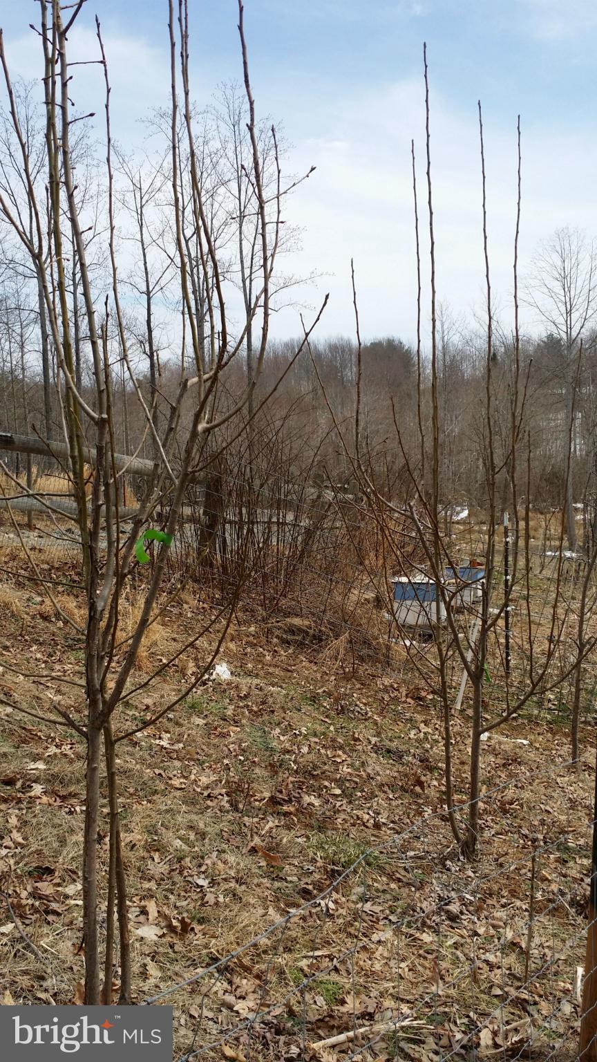 NONE AVAILABLE - Farm