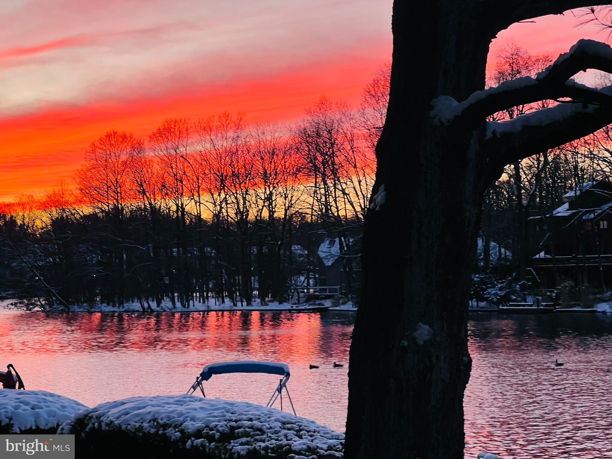 11292 HARBOR COURT 1292