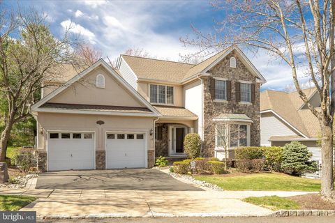 12 IRONWOOD ROAD SKILLMAN NJ 08558