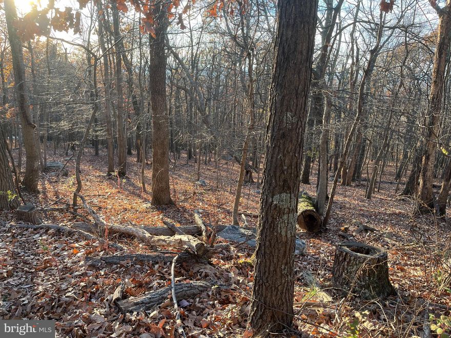 Perked , surveyed with corners marked and ready for your new home.  This beautiful wooded lot is in an easy access area of Shannondale. This area is very convenient for commuting to Leesburg, Va.  and Frederick, Md.  A must see!!