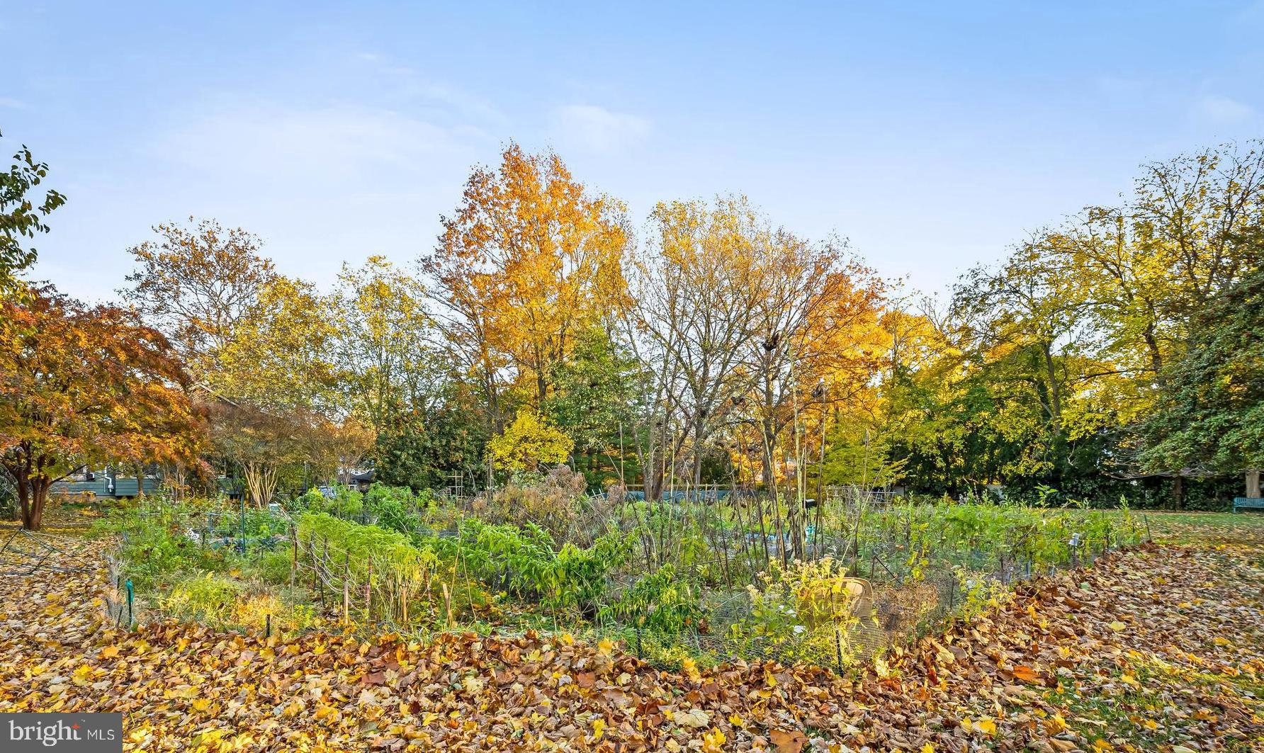 BURKLEIGH SQUARE - Residential