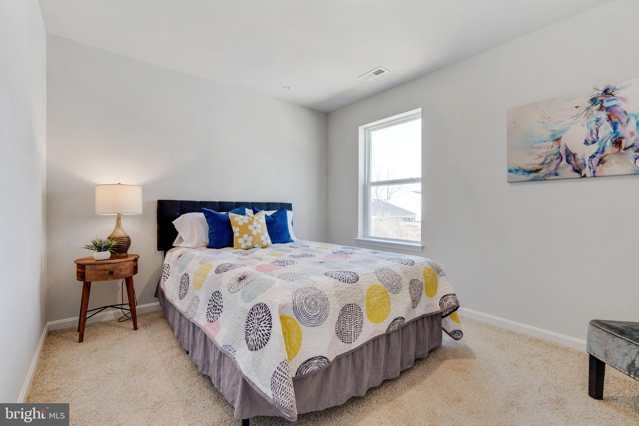 THE VILLAGE AT CHESTERTOWN - Residential