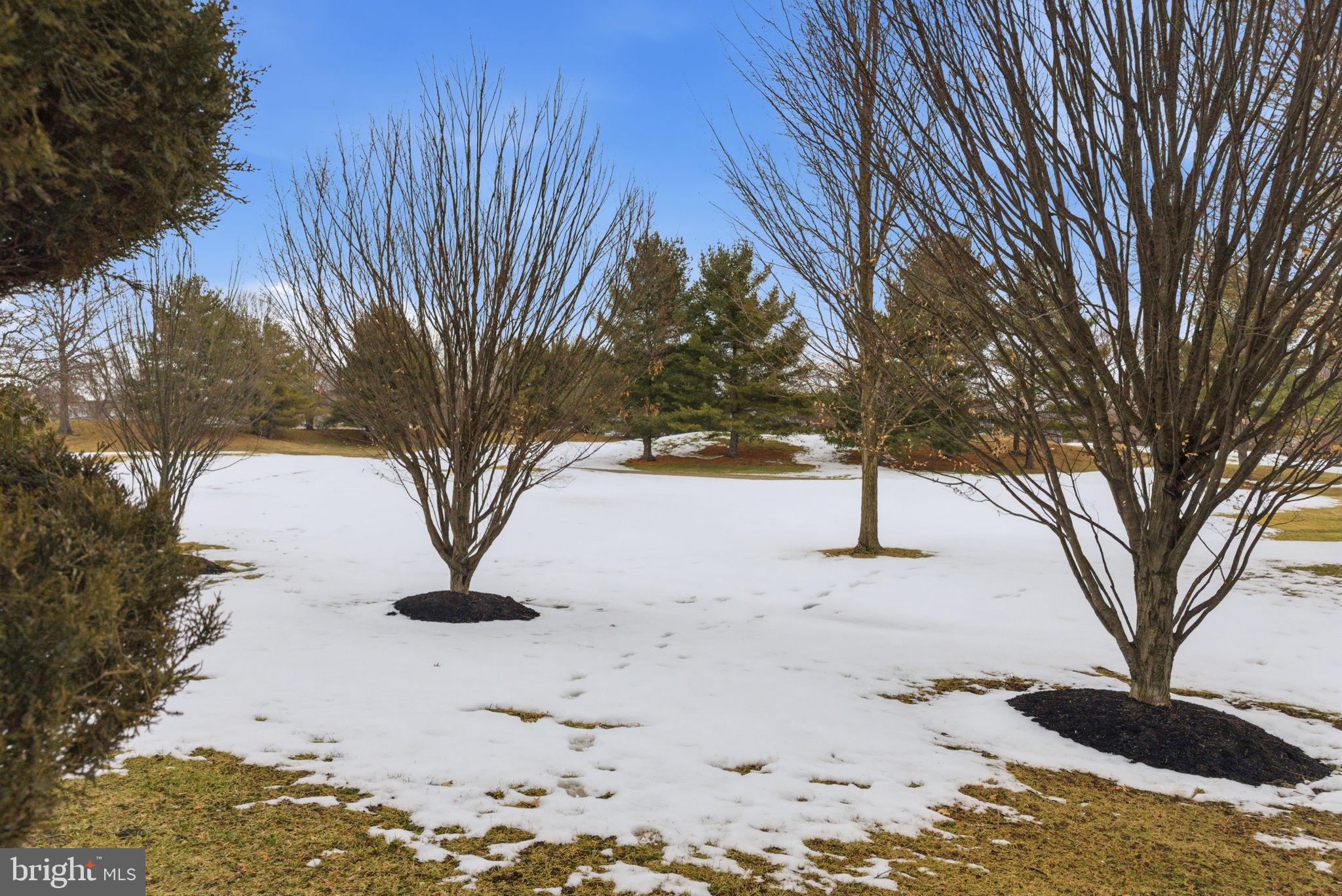 BLUE BELL CC - Residential