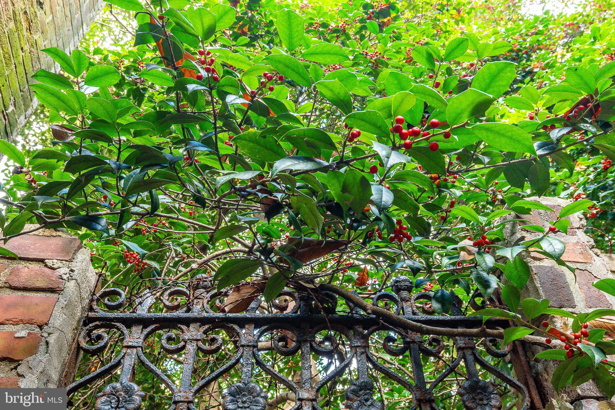 SOCIETY HILL - Residential