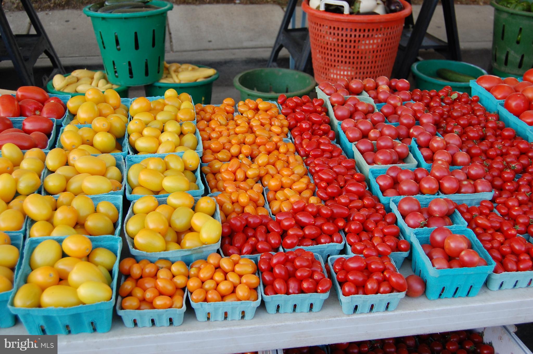 BIRDIE MAY MASON - Residential Lease