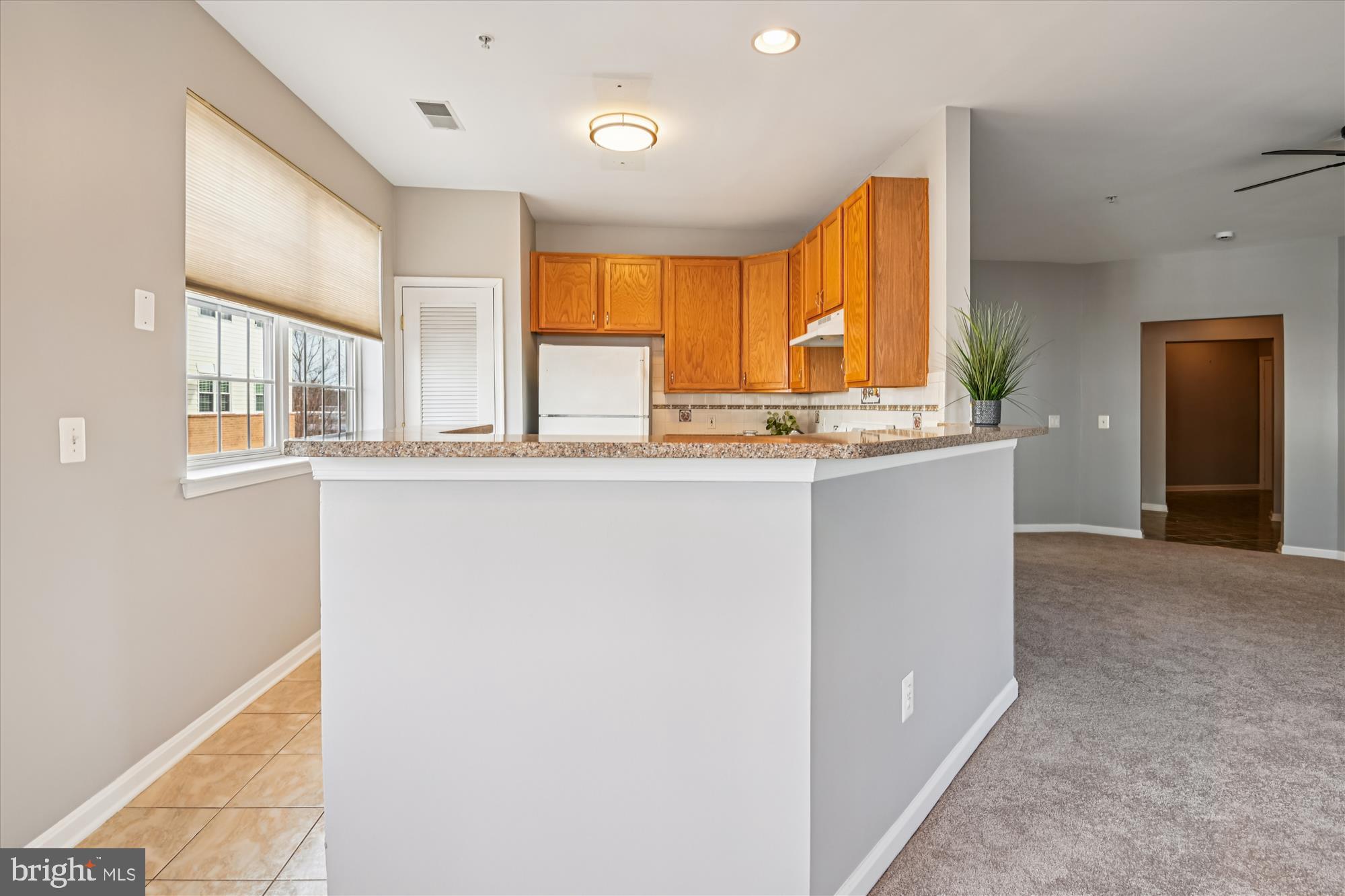 THE VILLAGE AT WAUGH CHAPEL - Residential