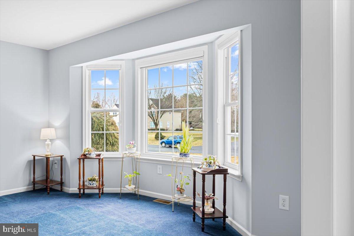 CHESAPEAKE MEADOW - Residential