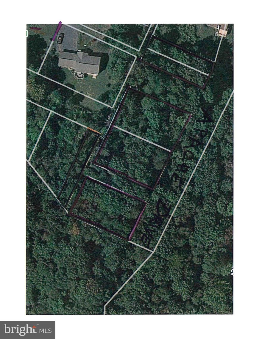 Investment opportunity..Raw lots at end of Apache Drive.  Access limited.