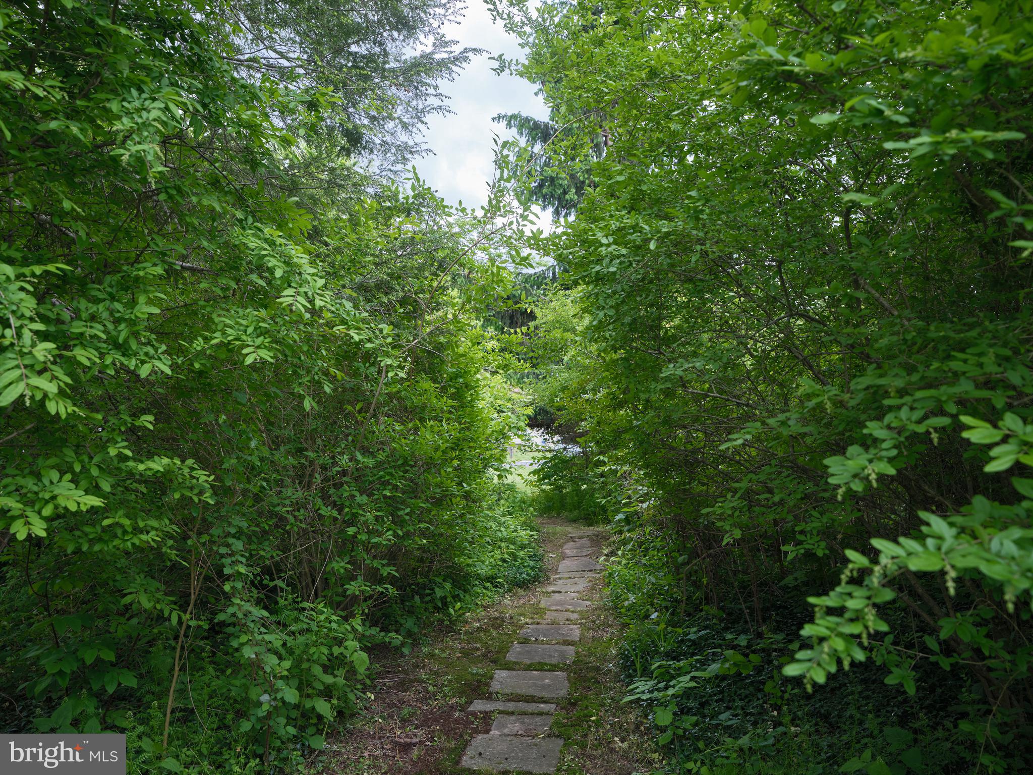 NEW HOPE HILLS - Residential