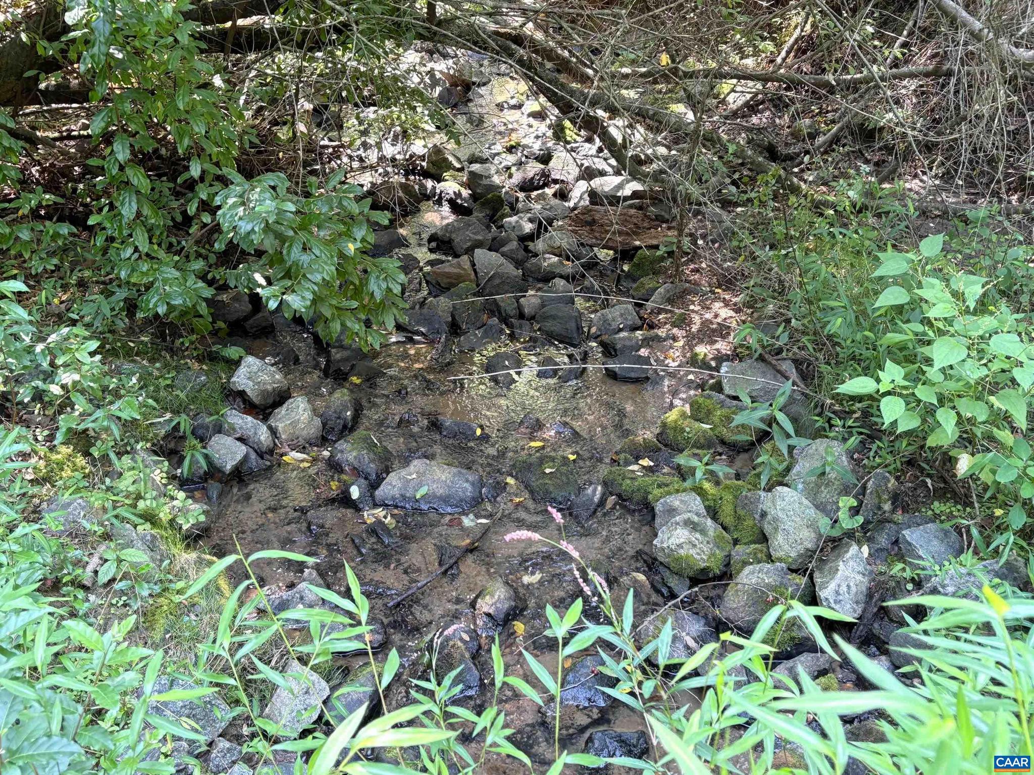 Part of TM 24-1 MITCHELL MOUNTAIN RD PORTION OF TM 24-1