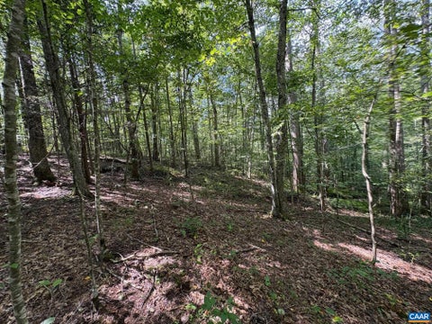 Vacant Land For Sale - TM 23-5A Mitchell Mountain Rd #5A<br/> HAYWOOD, VA 22722