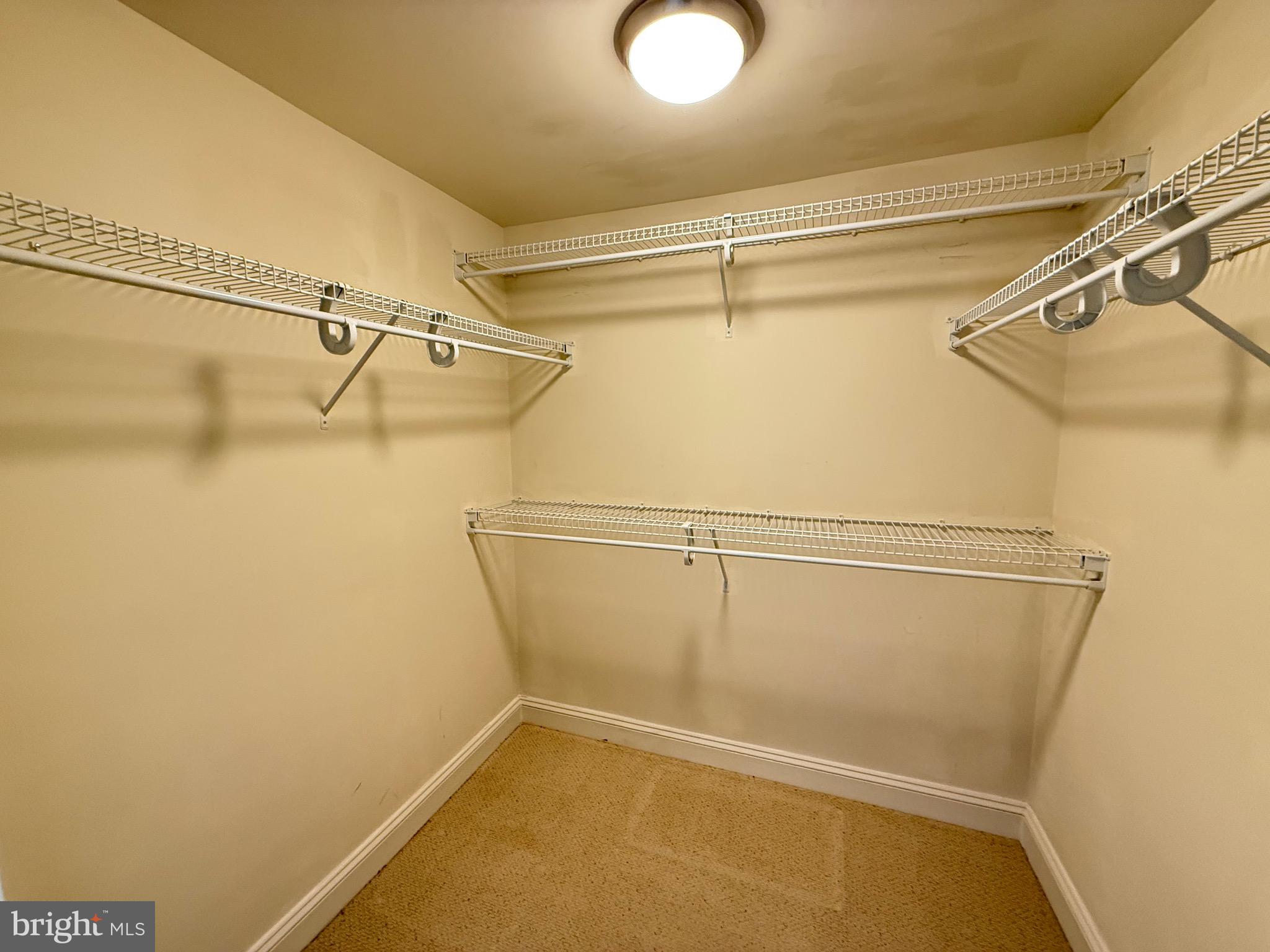 MERCER - Residential Lease