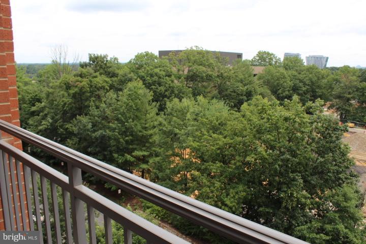 MERCER - Residential Lease