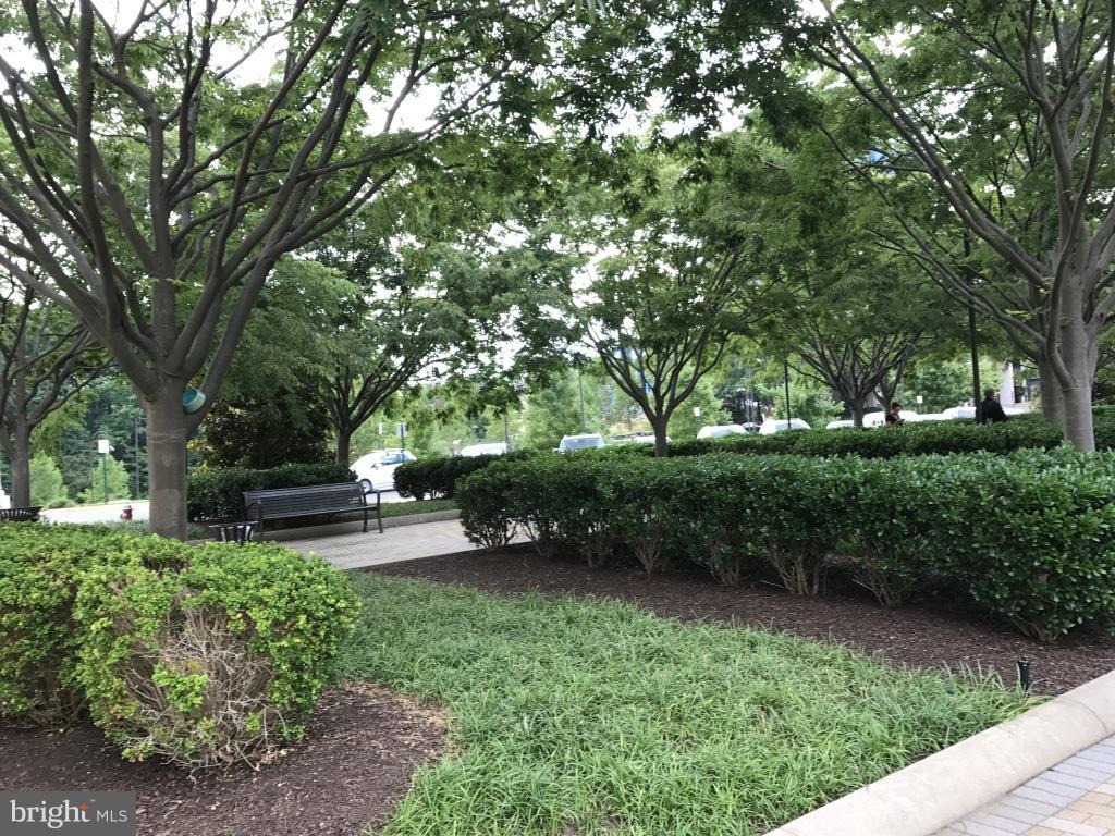 MERCER - Residential Lease