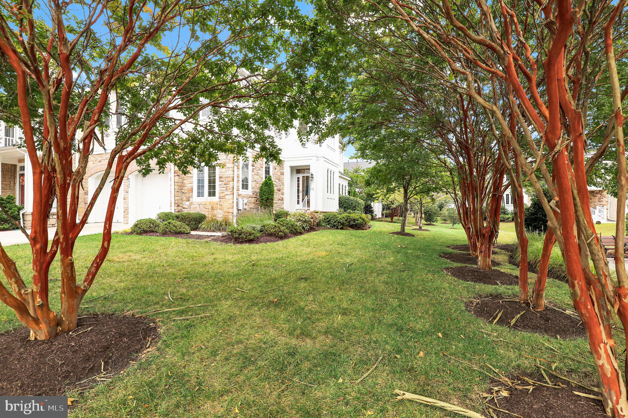 SNOWDEN OVERLOOK - Residential