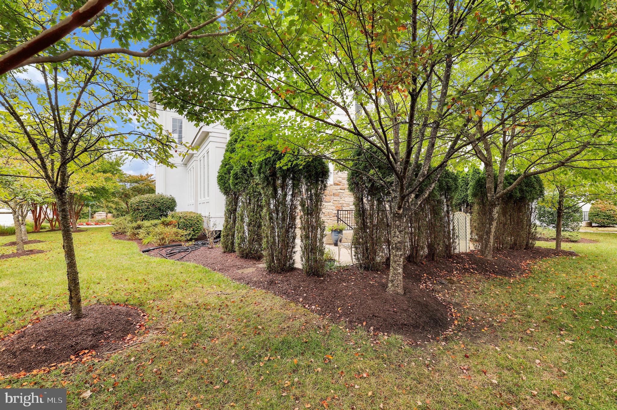 SNOWDEN OVERLOOK - Residential