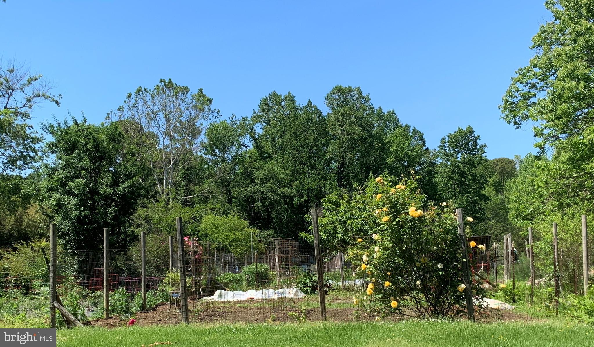 SCIENTISTS CLIFFS - Residential