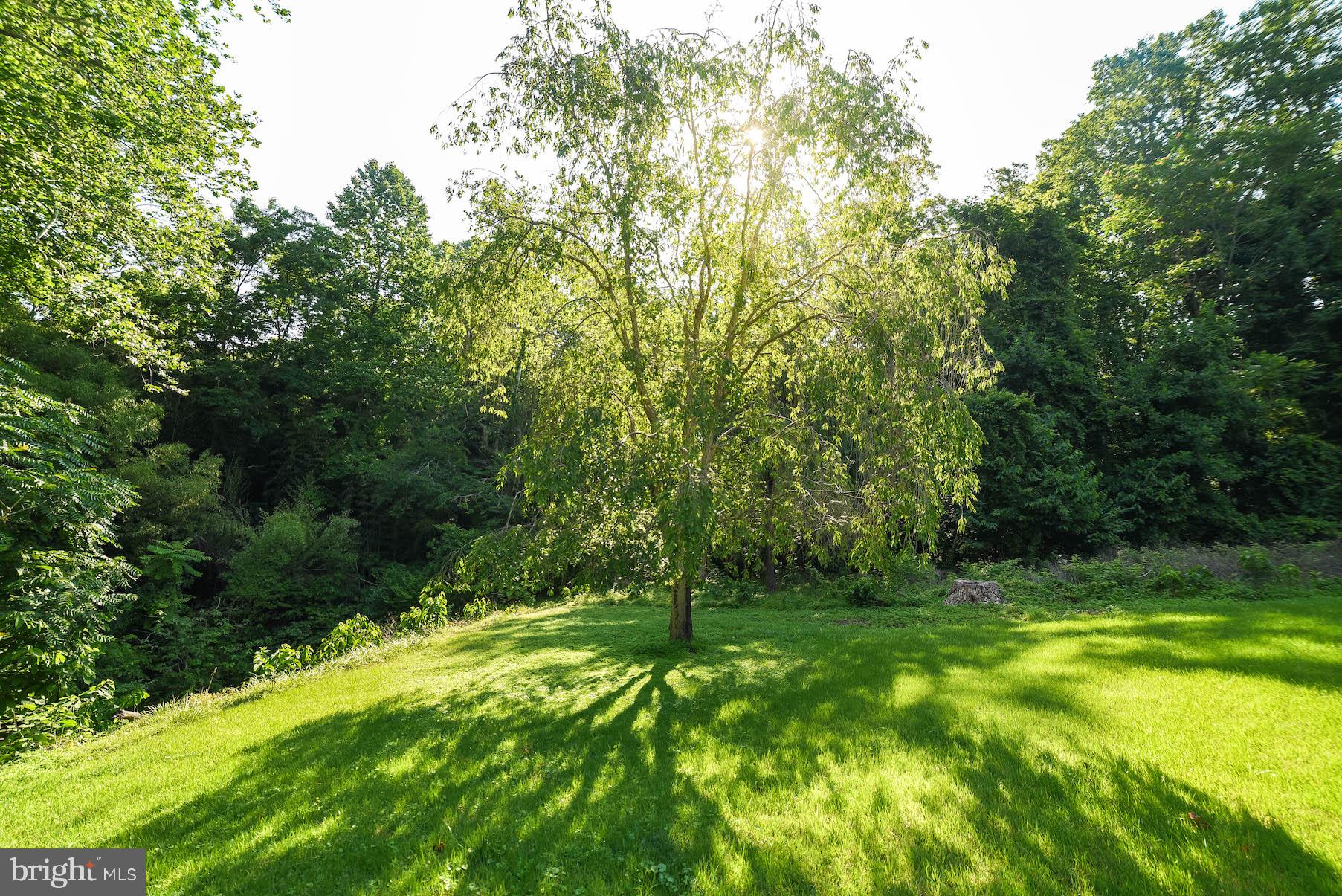 SCIENTISTS CLIFFS - Residential