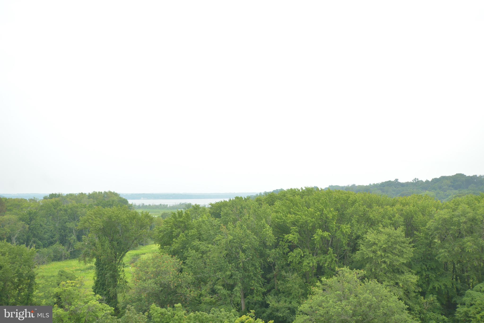 RIVER TOWERS - Residential Lease