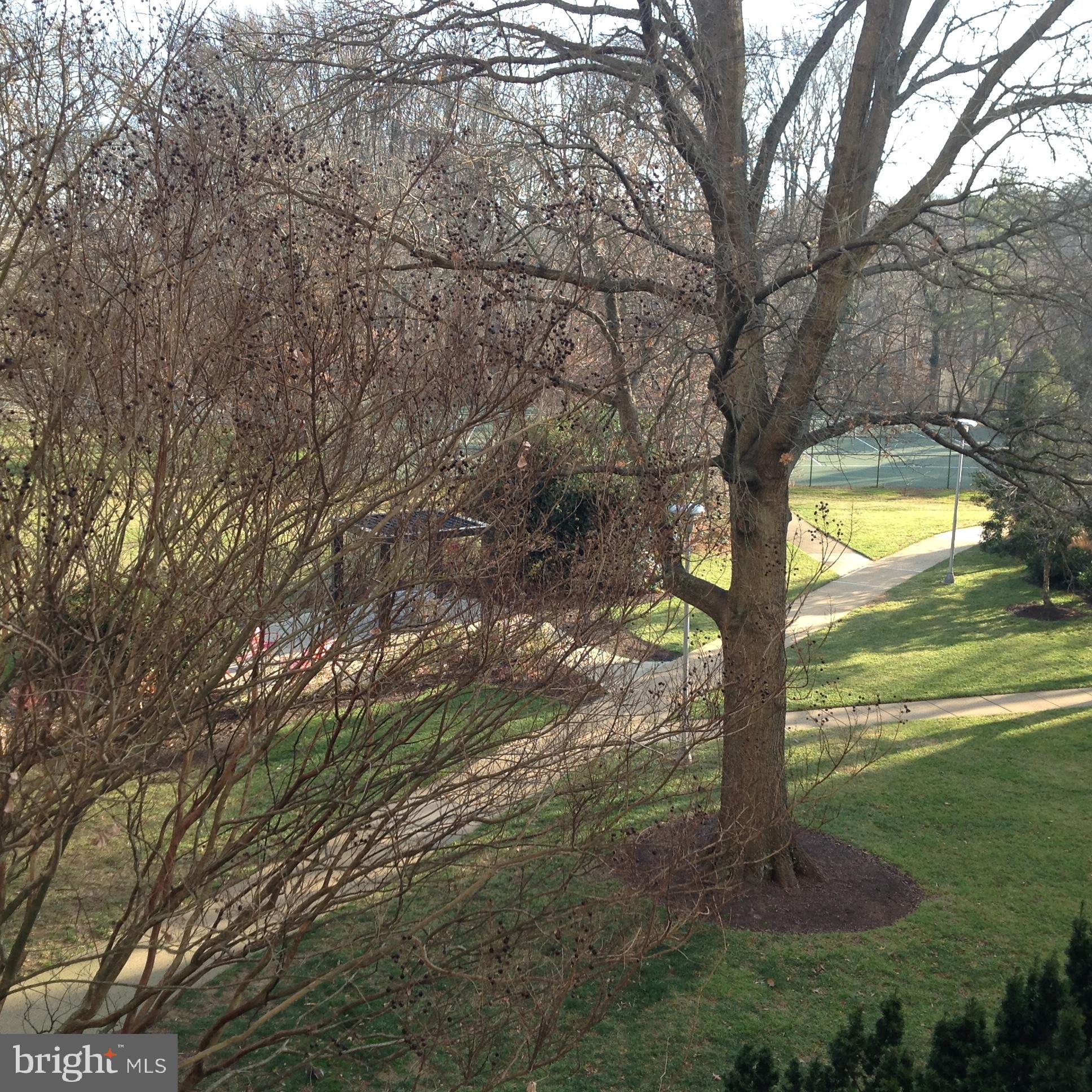 RIVER TOWERS - Residential Lease