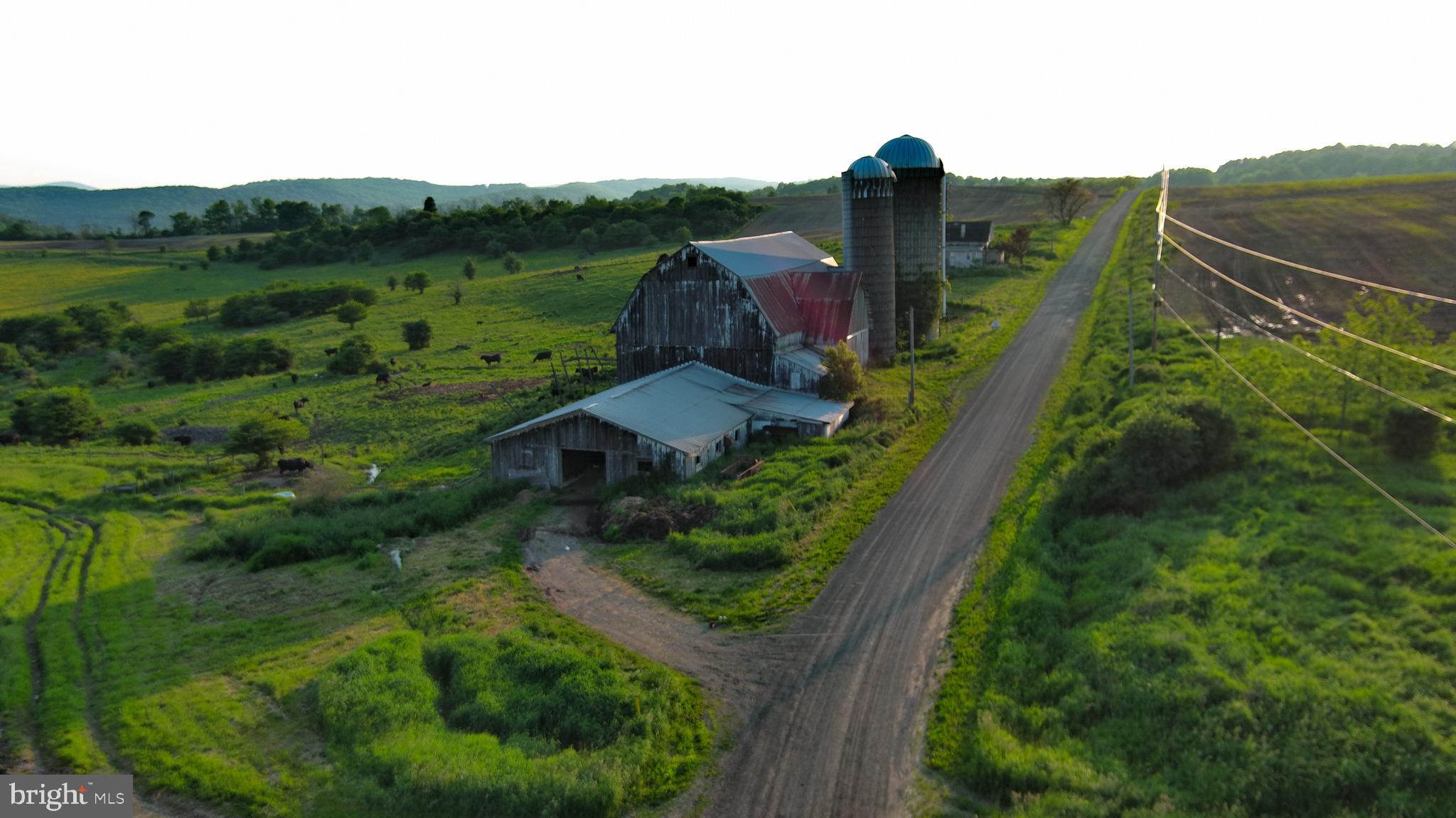 NONE AVAILABLE - Farm