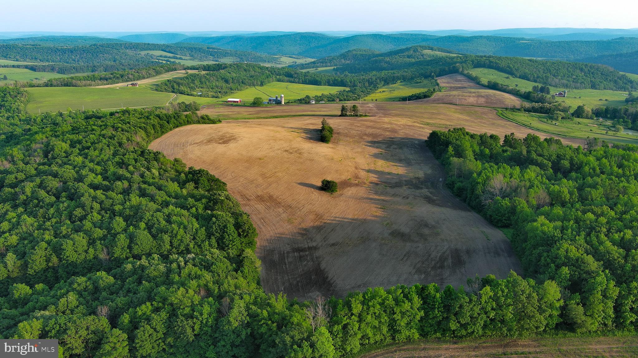 NONE AVAILABLE - Farm