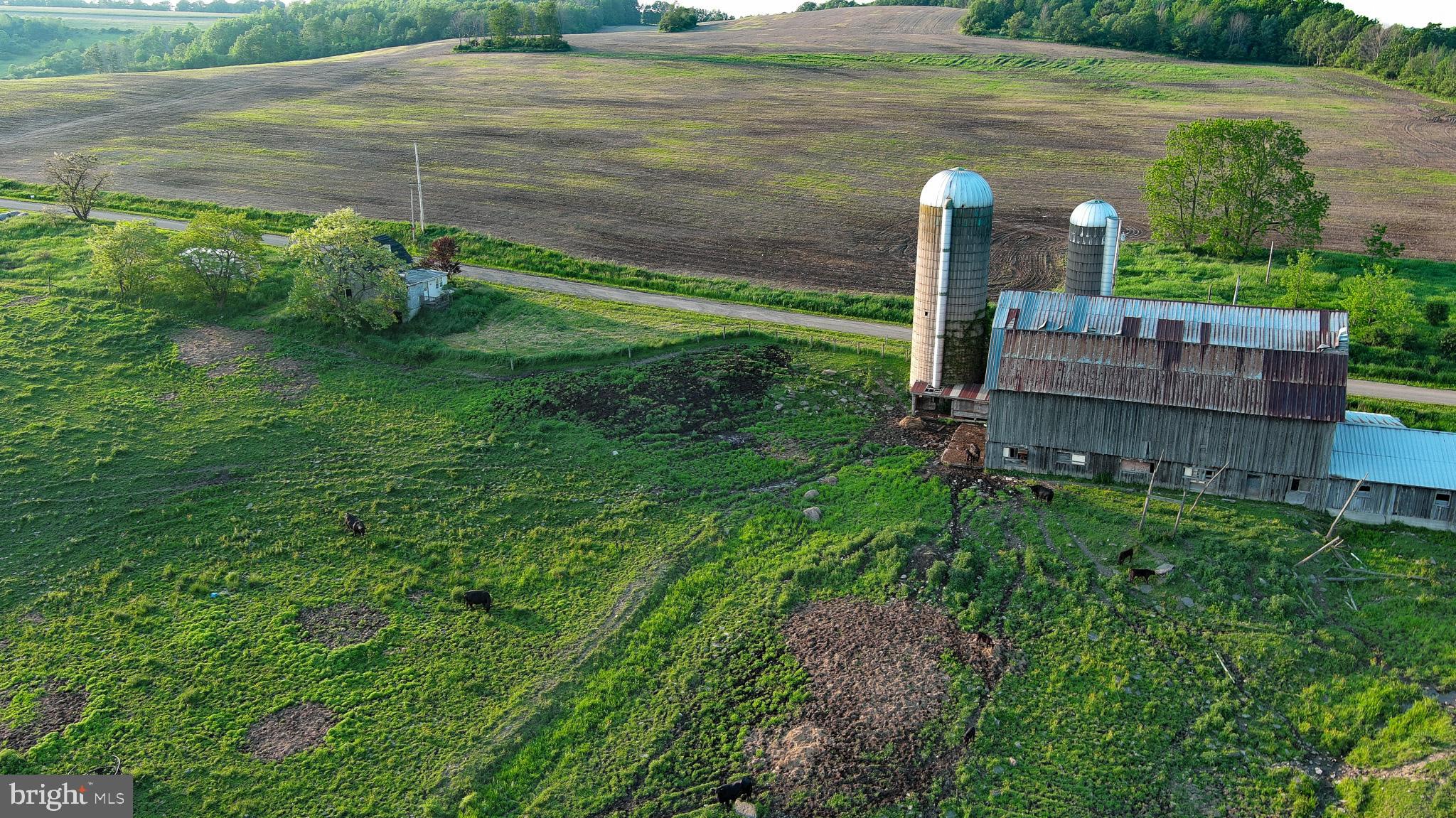 NONE AVAILABLE - Farm