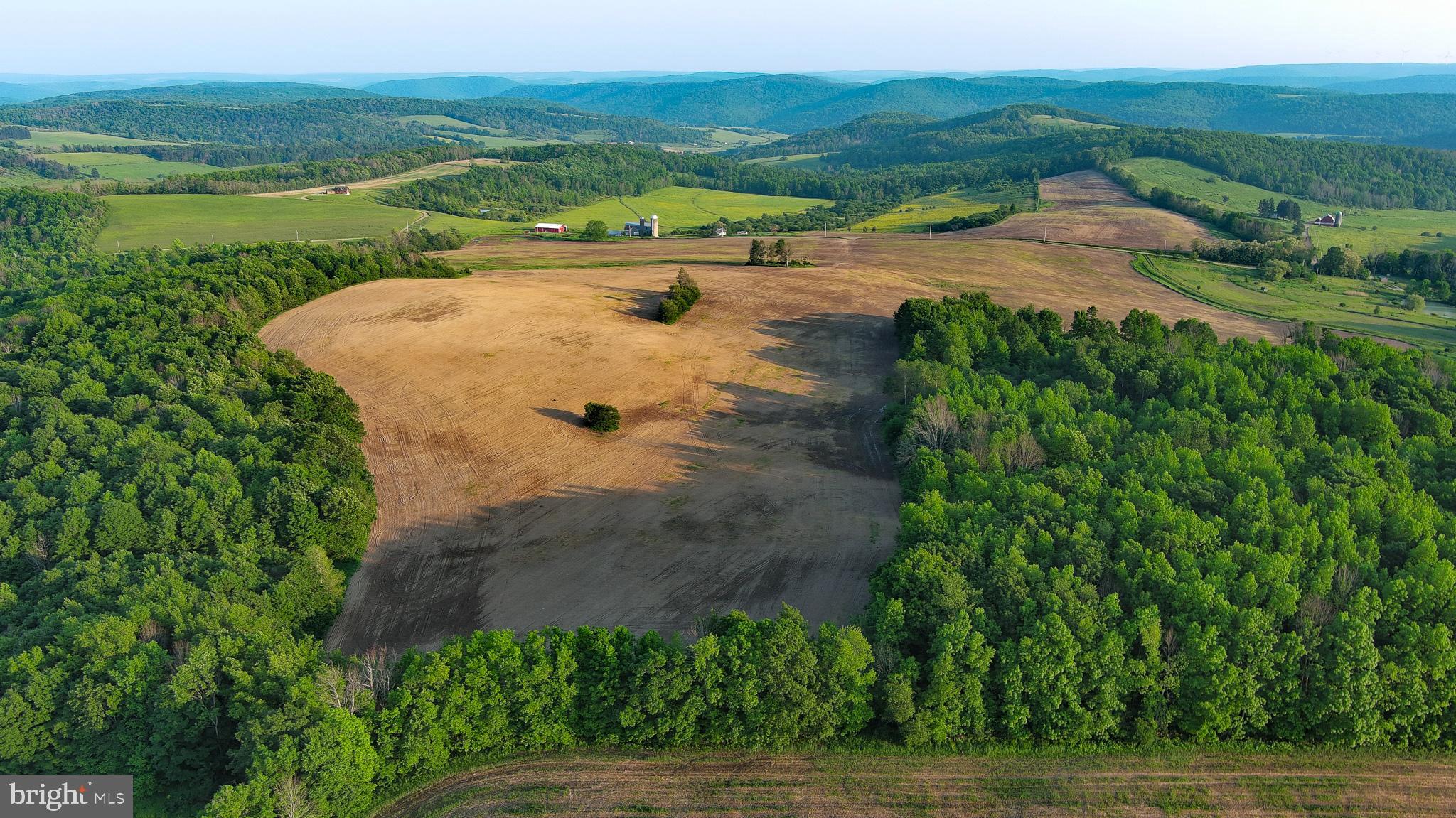 NONE AVAILABLE - Farm