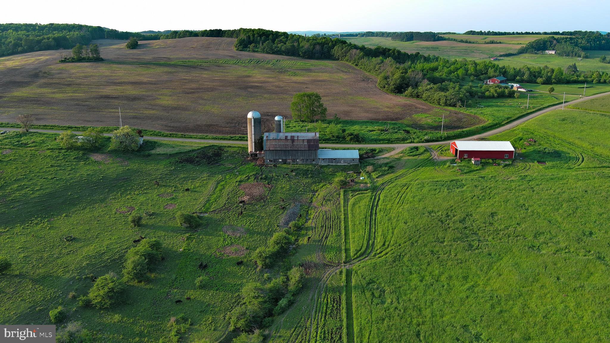 NONE AVAILABLE - Farm